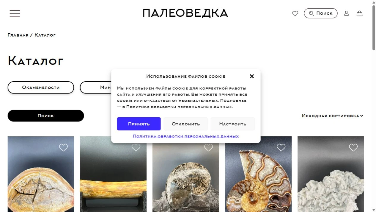 Палеоведка — магазин окаменелостей